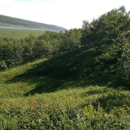 Godafoss Hlitharendi Guesthouse מראה חיצוני תמונה