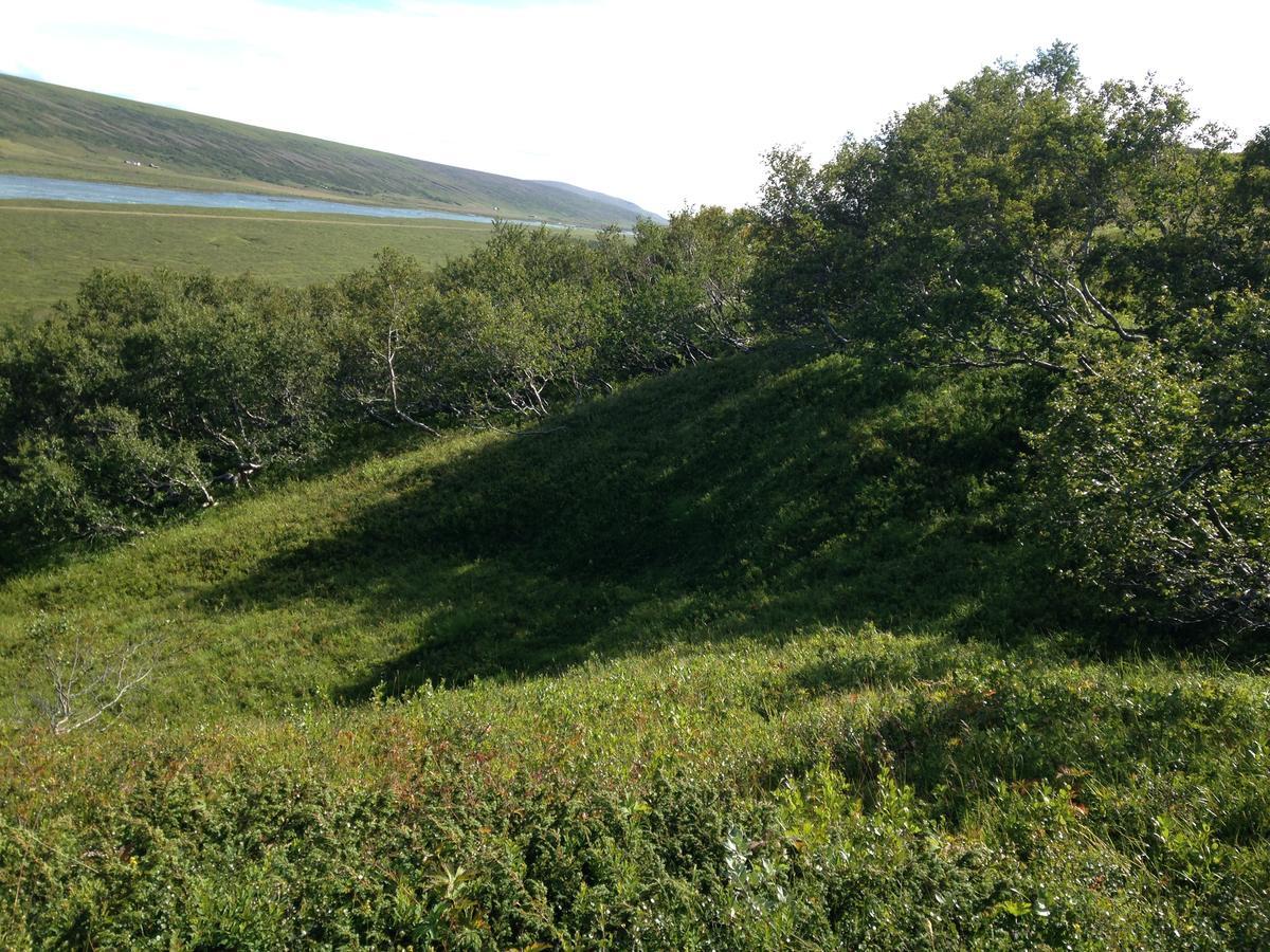 Godafoss Hlitharendi Guesthouse מראה חיצוני תמונה